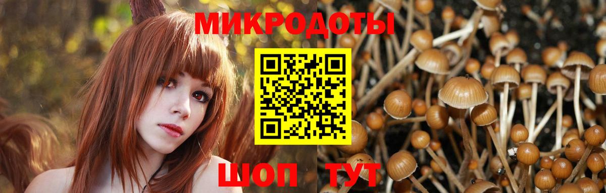 Псилоцибиновые грибы Psilocybine cubensis  Вход с VPN  хочу   Пыть-Ях 
